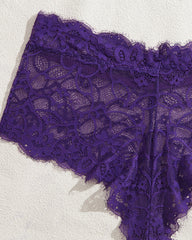 High Neck Lace Sheer Mesh Backless Bra Underwear Set