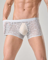 Men's Ultra-thin Lace Breathable Mesh Boxer Briefs