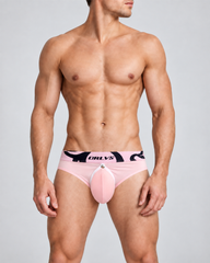 2-Pack Men's Contoured Pouch Low-Rise Briefs