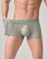 Men's Ultra-thin Lace Breathable Mesh Boxer Briefs