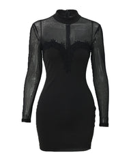 Shimmering Mesh Floral Embroidery Patchwork Round Neck Long Sleeve Bodycon Dress