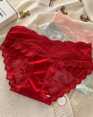 Sexy Colorblock Lace Mesh Sheer Panties