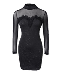 Shimmering Mesh Floral Embroidery Patchwork Round Neck Long Sleeve Bodycon Dress